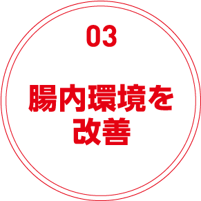03腸内環境を改善